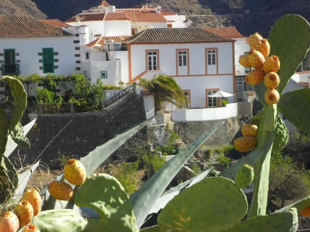 Дом отдыха Casa Rural Cascaras Tejeda Gran Canaria